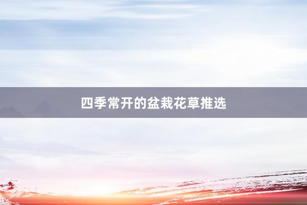 四季常开的盆栽花草推选